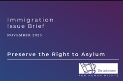 Immigration Issue Brief: Preserve the Right to Asylum and Provide Protection from Persecution and Torture